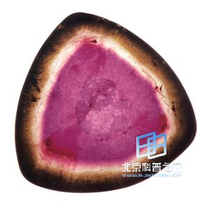 �ơ��������ܲ��������ϱ�����ͼ��