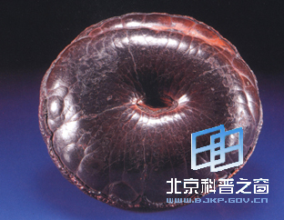 ��ֲ�����ӵĳ�����ͼ��