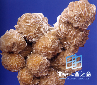 ��ɳĮõ���ʯ�ྦྷ�أ�ͼ��