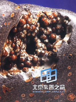 ��ʯ�����ʯ���壨ͼ��