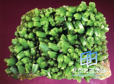 ò���۲˵�����Ǧ���壨ͼ��