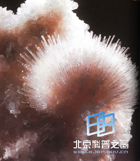 �Ʊ��������ʯ���ͼ��