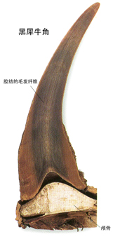 ���ж���Ľǣ�ͼ��