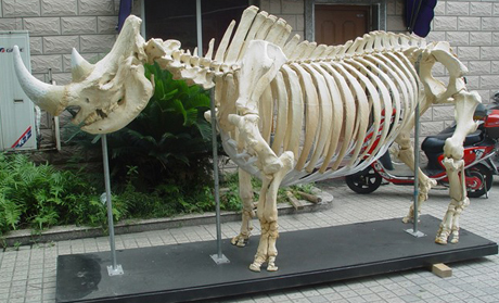 ���ж���Ľǣ�ͼ��