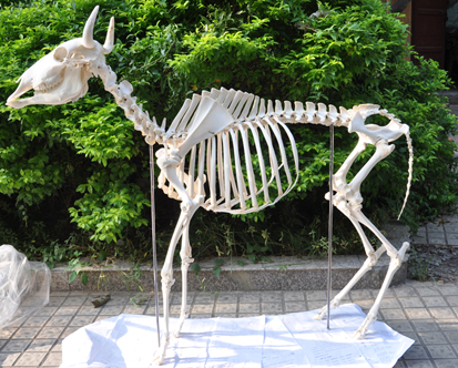 ���ж���Ľǣ�ͼ��