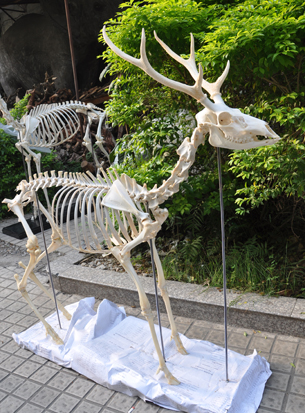 ���ж���Ľǣ�ͼ��