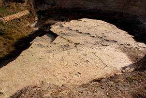 陕西神木侏罗纪地层中惊现中国较早的恐龙足迹化石