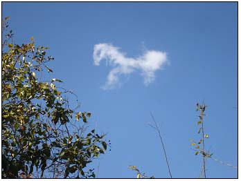 �� �� д �֣�ͼ��