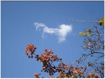 �� �� д �֣�ͼ��