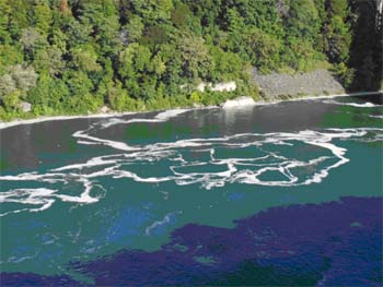 �� �� д �֣�ͼ��