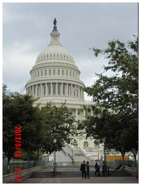 “绿剑”上的黄藻(图)