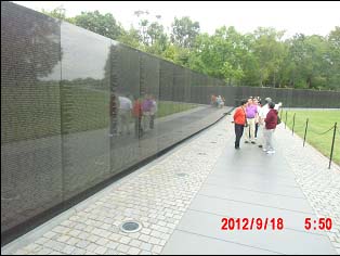 “绿剑”上的黄藻(图)