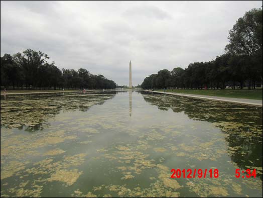 ���̽����ϵĻ��壨ͼ��