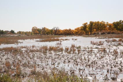 ��Զ�Ķ���ɣ�����ĺ����֣�����