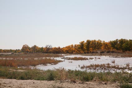 ��Զ�Ķ���ɣ�����ĺ����֣�����