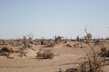 ��Զ�Ķ���ɣ�����ĺ����֣�����