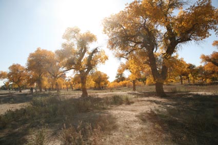 ��Զ�Ķ���ɣ�����ĺ����֣�����