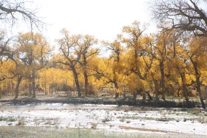 ��Զ�Ķ���ɣ�����ĺ����֣�����