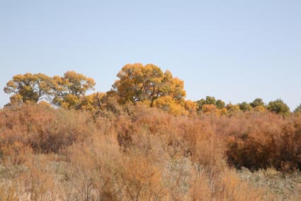 ��Զ�Ķ���ɣ�����ĺ����֣��ģ�