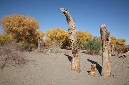 ��Զ�Ķ���ɣ�����ĺ����֣�����