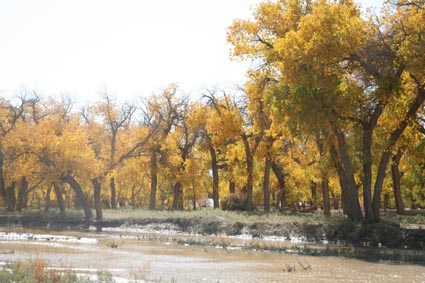 ��Զ�Ķ���ɣ�����ĺ����֣�����