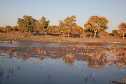 ��Զ�Ķ���ɣ�����ĺ����֣��ģ�