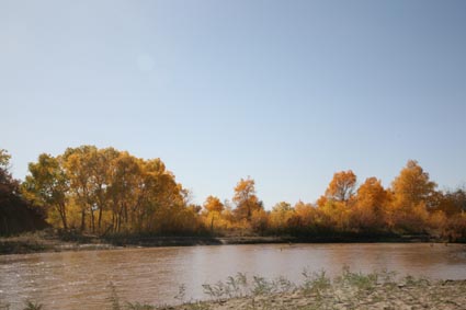 ��Զ�Ķ���ɣ�����ĺ����֣�����