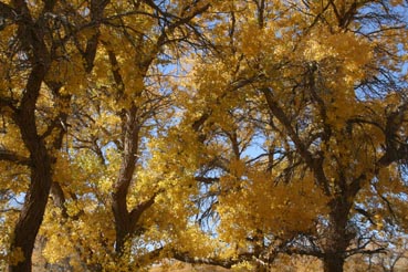 ��Զ�Ķ���ɣ�����ĺ����֣��ģ�