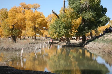 ��Զ�Ķ���ɣ�����ĺ����֣�����