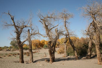 ��Զ�Ķ���ɣ�����ĺ����֣�����