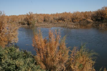 ��Զ�Ķ���ɣ�����ĺ����֣��ģ�