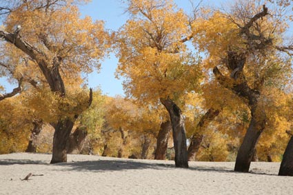 ��Զ�Ķ���ɣ�����ĺ����֣�����