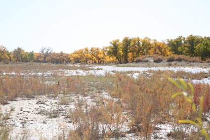 ��Զ�Ķ���ɣ�����ĺ����֣�����