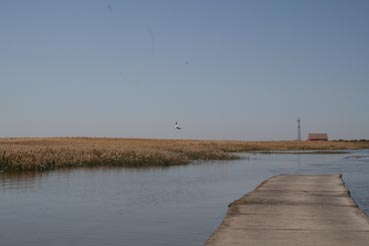 ��Զ�Ķ���ɣ�����ĺ����֣��ģ�