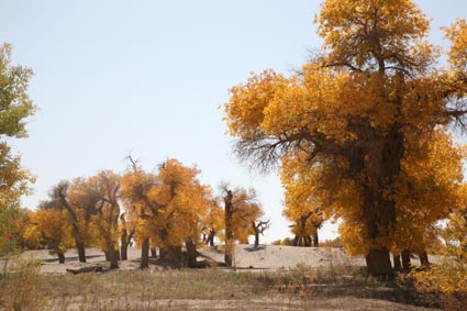 ��Զ�Ķ���ɣ�����ĺ����֣�����