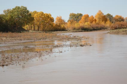 ��Զ�Ķ���ɣ�����ĺ����֣�����