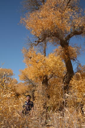 ��Զ�Ķ���ɣ�����ĺ����֣�����