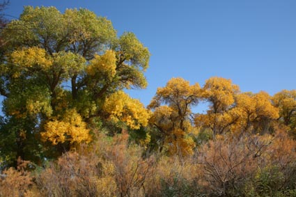 ��Զ�Ķ���ɣ�����ĺ����֣�����