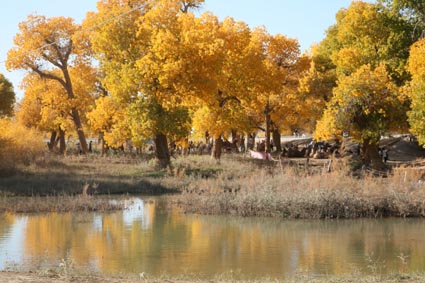 ��Զ�Ķ���ɣ�����ĺ����֣��ģ�