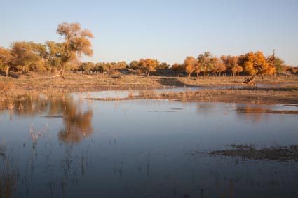 ��Զ�Ķ���ɣ�����ĺ����֣��ģ�