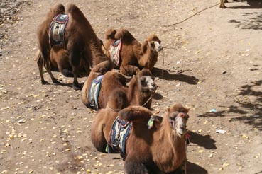 ��Զ�Ķ���ɣ�����ĺ����֣��ģ�