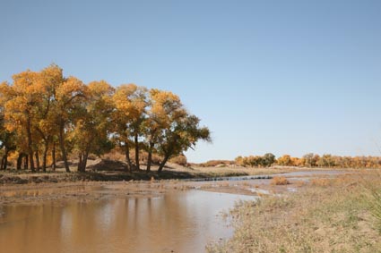 ��Զ�Ķ���ɣ�����ĺ����֣�����