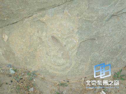 ������ϵ��֮��������ɽ�һ�