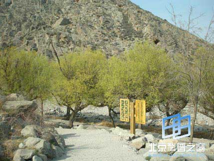 ������ϵ��֮��������ɽ�һ�