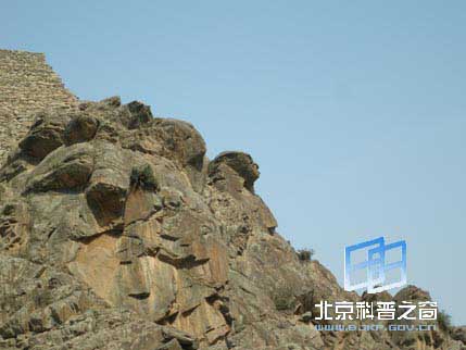 宁夏行系列之二:贺兰山岩画