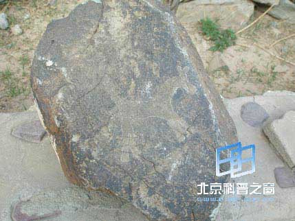 ������ϵ��֮��������ɽ�һ�