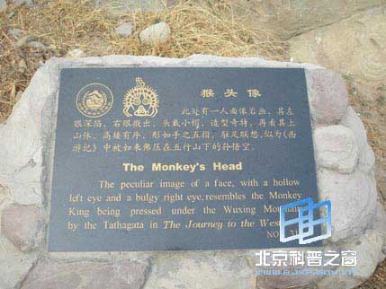 宁夏行系列之二:贺兰山岩画