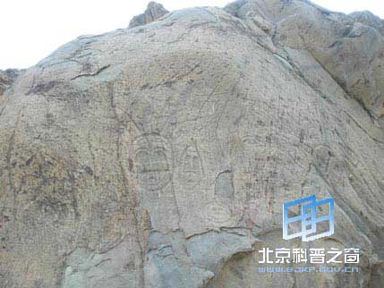 ������ϵ��֮��������ɽ�һ�