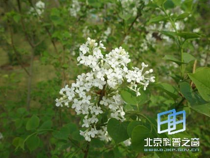 ������ϵ��֮���������㳡����ɽ��԰