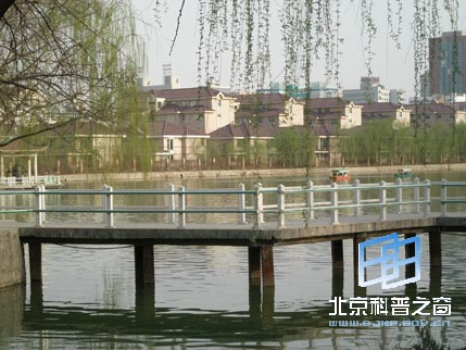 ������ϵ��֮���������㳡����ɽ��԰